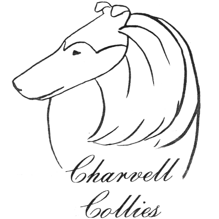 Charvell Collies Logo